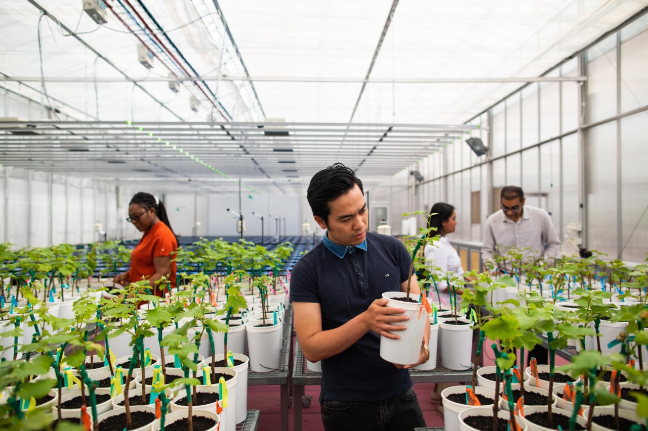Waite campus.  Students in plant accelerator. Smarthouse Imaging room.